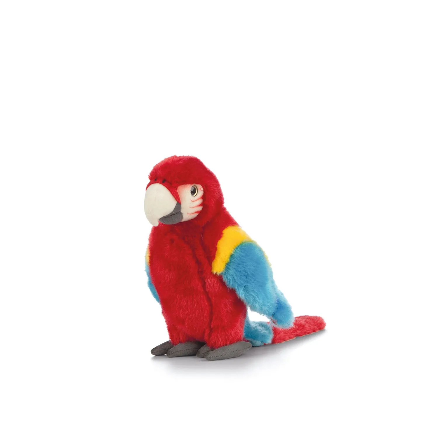 Red Macaw Parrot