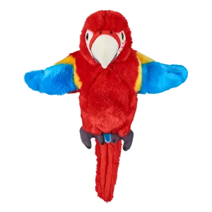 Red Macaw Parrot