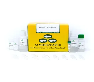 RNA Clean & Concentrator-5 Sample