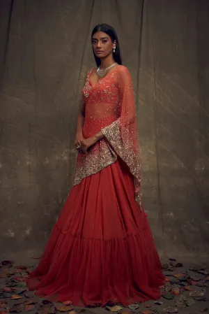 Rust Embellished Lehenga and Sleeveless Blouse