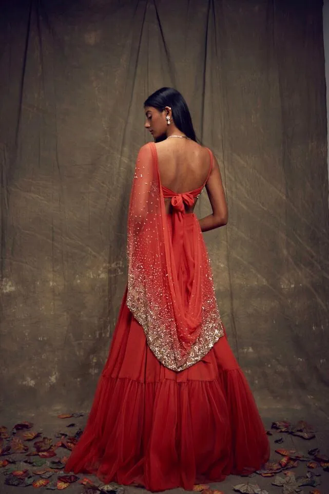 Rust Embellished Lehenga and Sleeveless Blouse