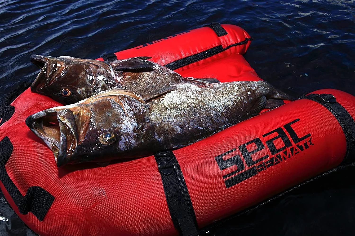 Sea Mate Inflatabe Gangway Boat