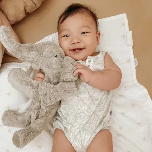 Small Cuddly Elephant