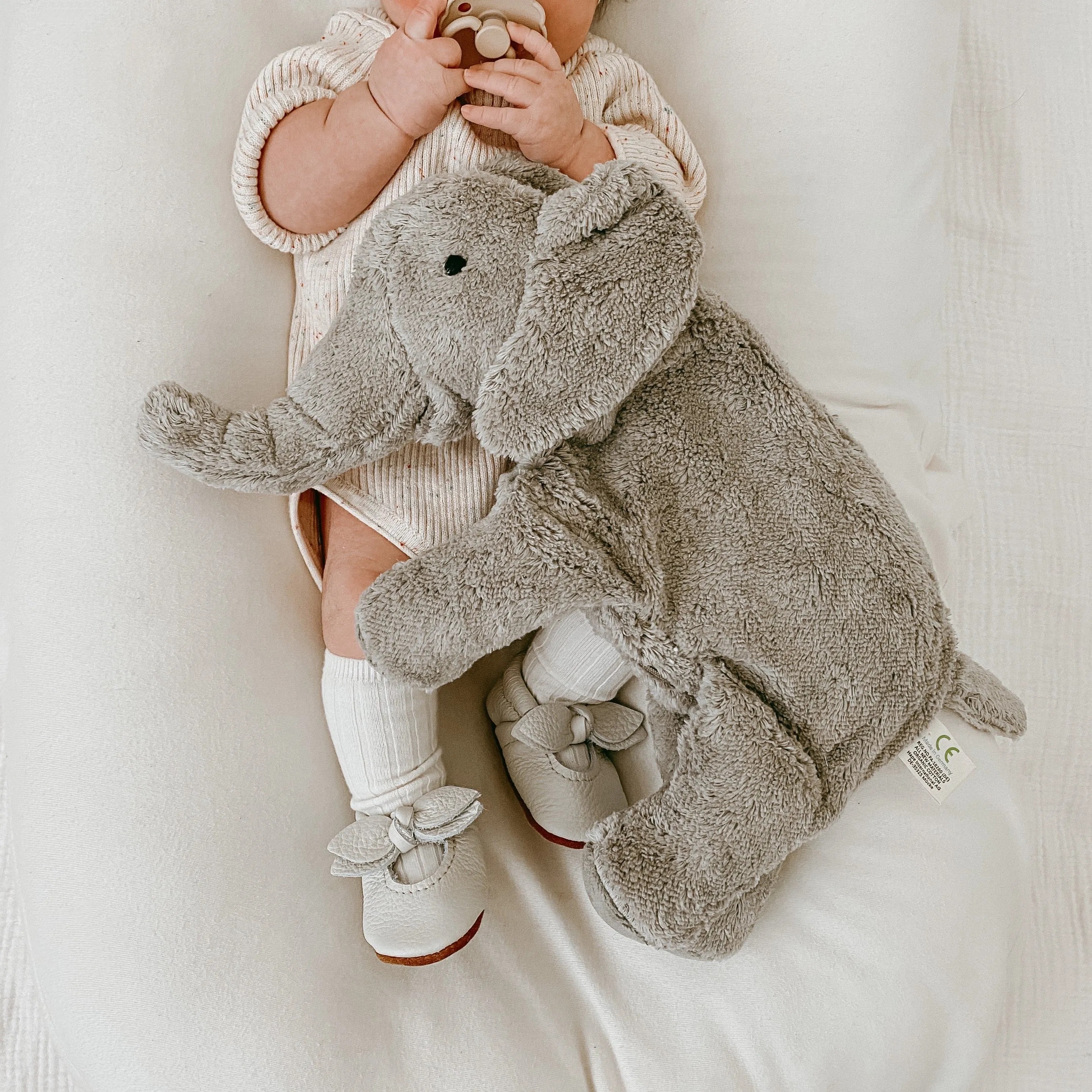 Small Cuddly Elephant