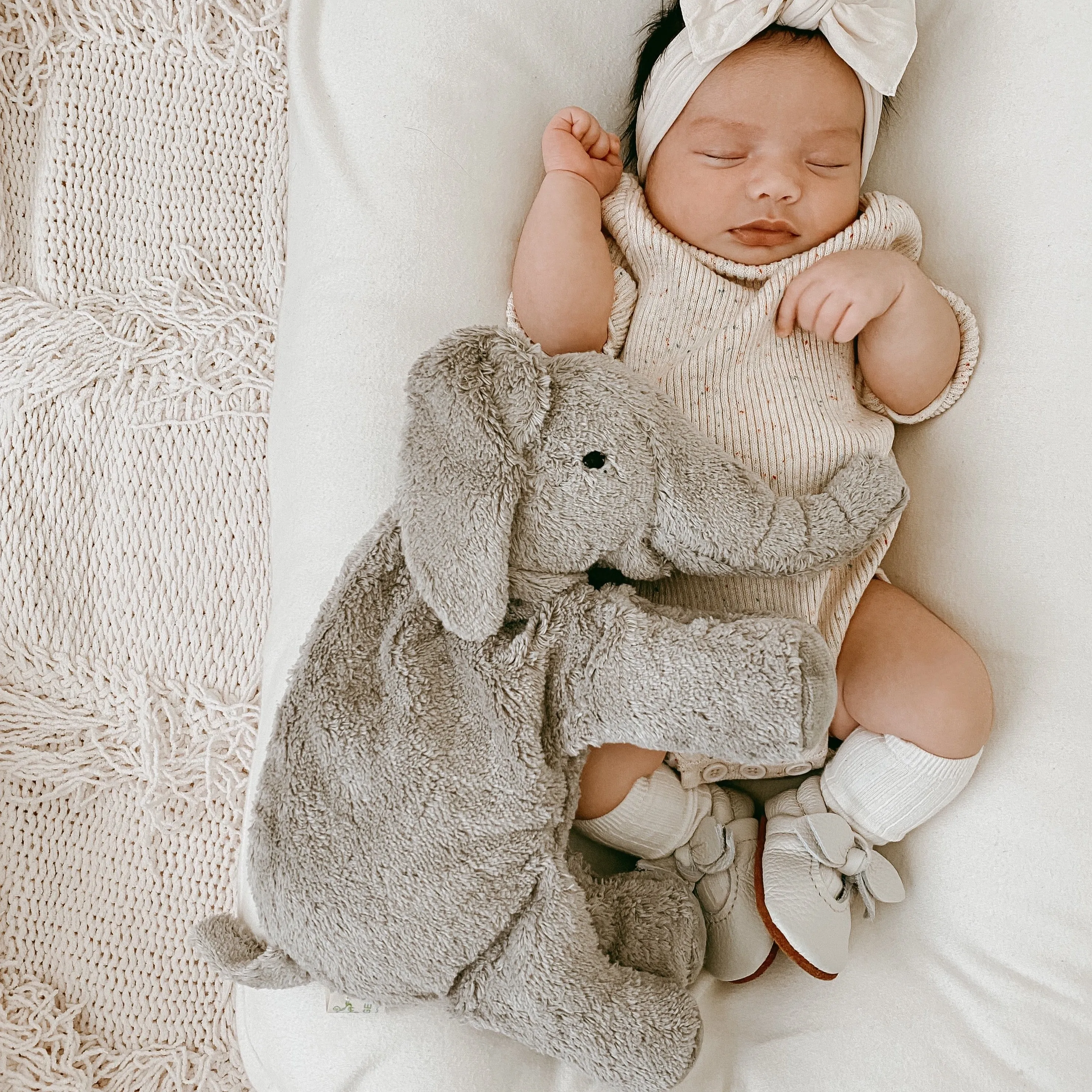 Small Cuddly Elephant