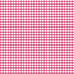 Small Gingham in Hot Pink by Riley Blake