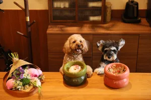 Soufflé Pet Bowl - Avocado Green