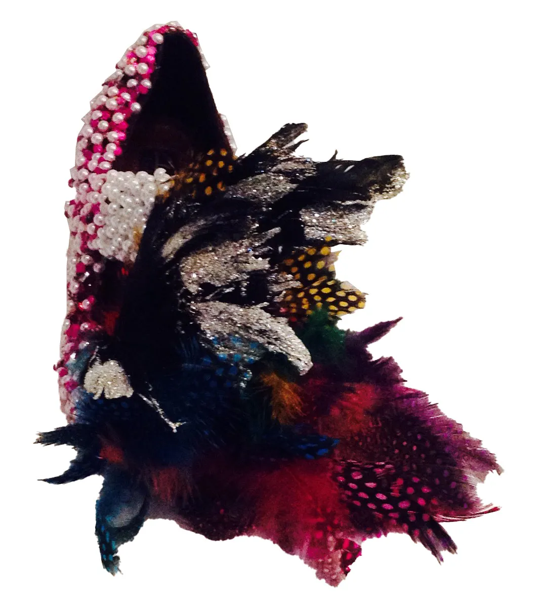 SS 006