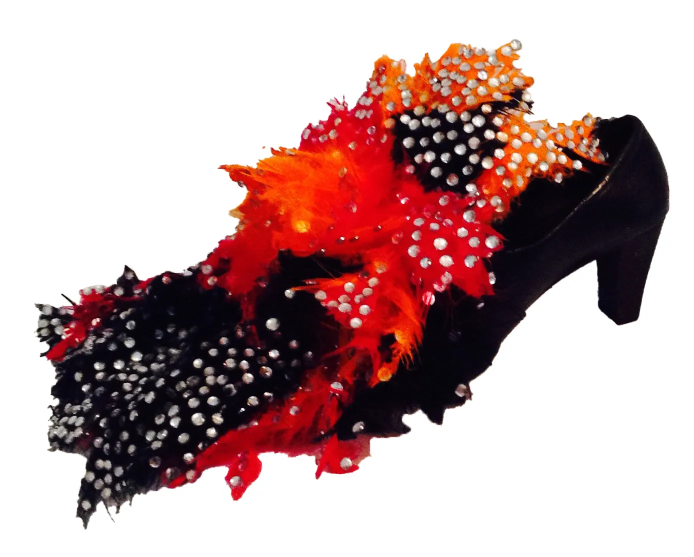 SS 008