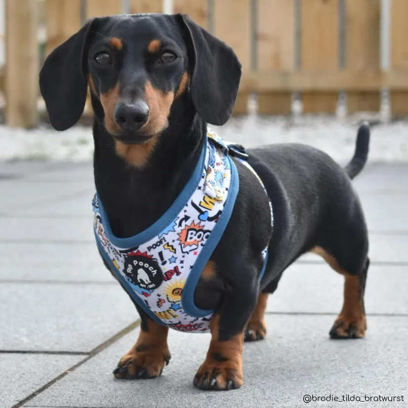 Superhero Dog Harness