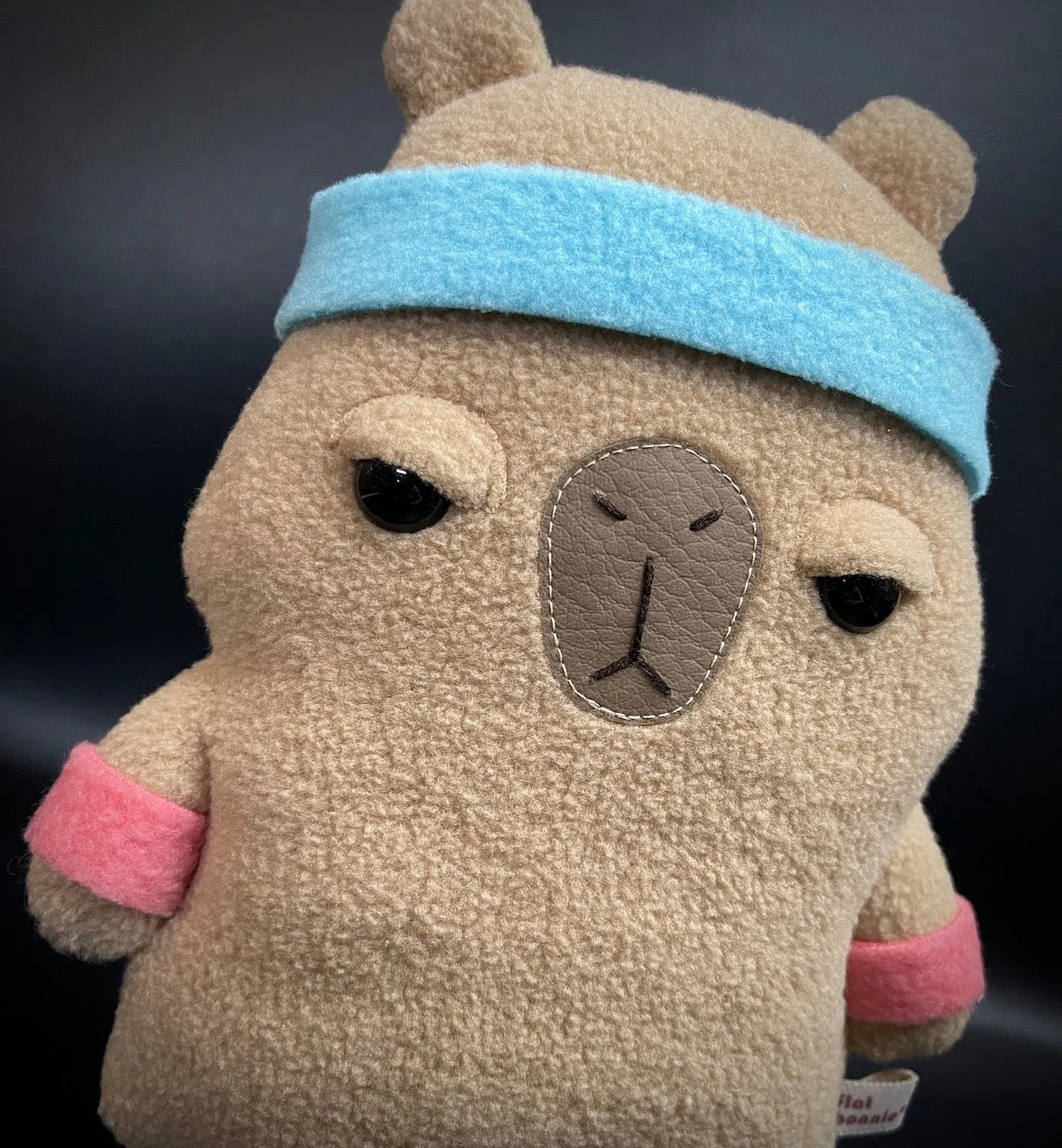 Unimpressed Capy plush - Exercise Edition