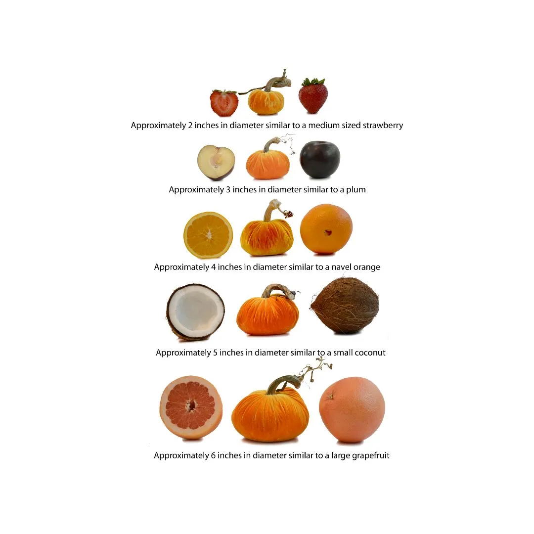Violet Velvet Pumpkin