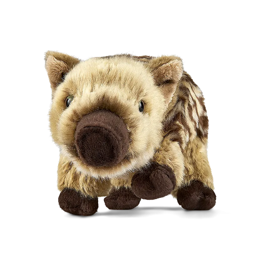 Wild Boar Piglet